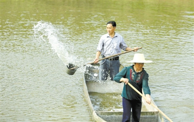 魚塘消毒.jpg