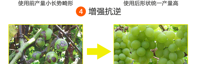 有機肥產(chǎn)品頁_11.png